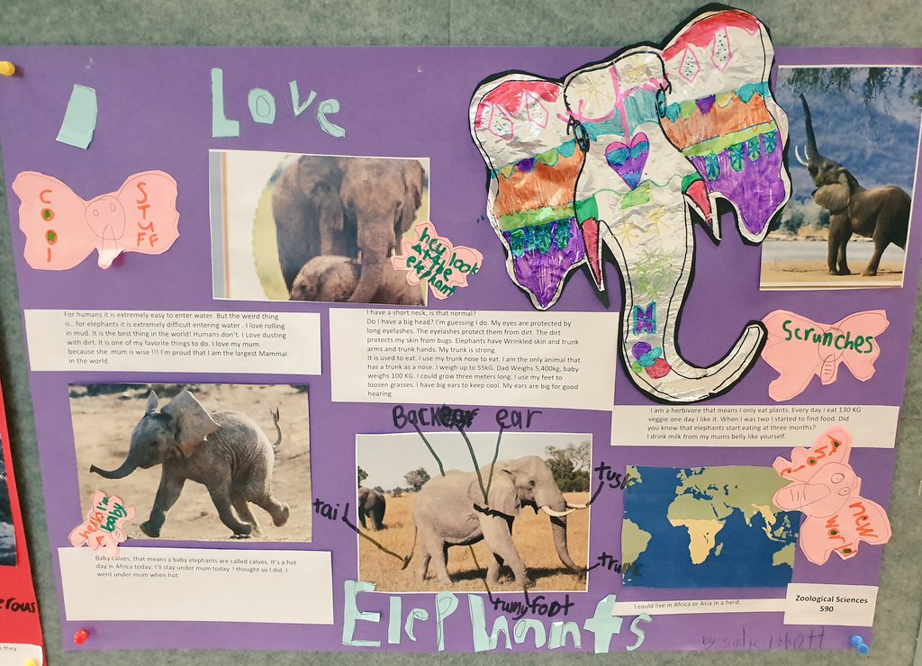 BishopAmyC's tweet photo. How will you communicate your new information? @ais_singapore students had choice when publishing their informative texts. A great way to share about themselves as a writer and their unique personalities! @CognitaSchools https://t.co/QREIoKt2MO