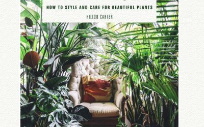 SeattleBkReview's tweet photo. We have some great book gift suggestions for the green thumb on your list. 
#plants #giftguide #gardening
https://t.co/40NlOoGPlw https://t.co/6Eo7REioqU