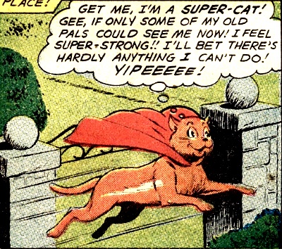 All cats are just SUPER aren’t they! #Caturday #superkitty check out #Supergirl ‘s cat Streaky