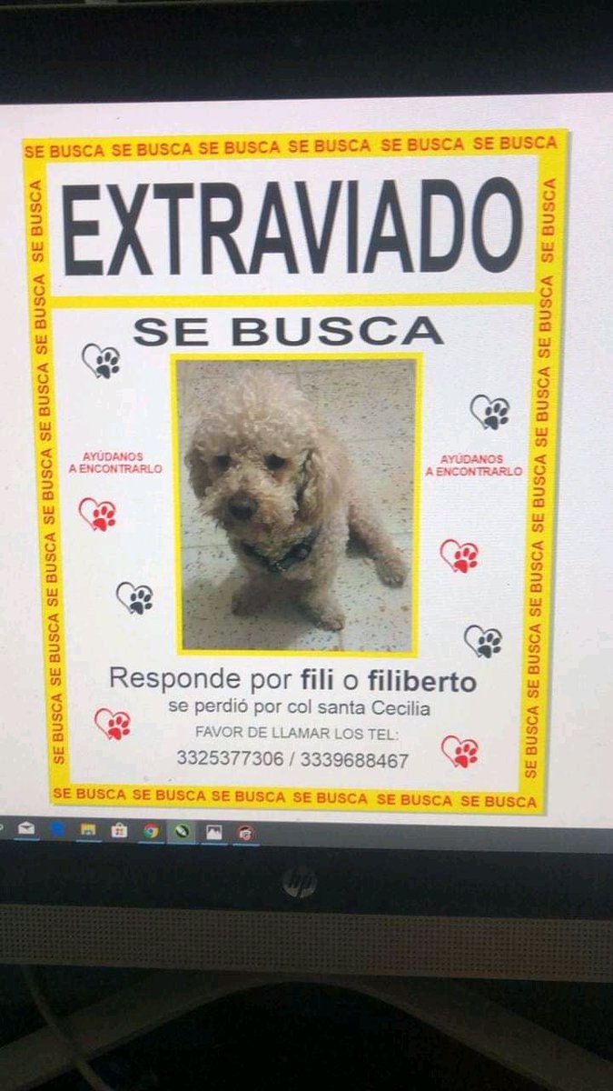 PrrosPerdidosMX's tweet photo. Rt por favor https://t.co/5FU2vXyCCq