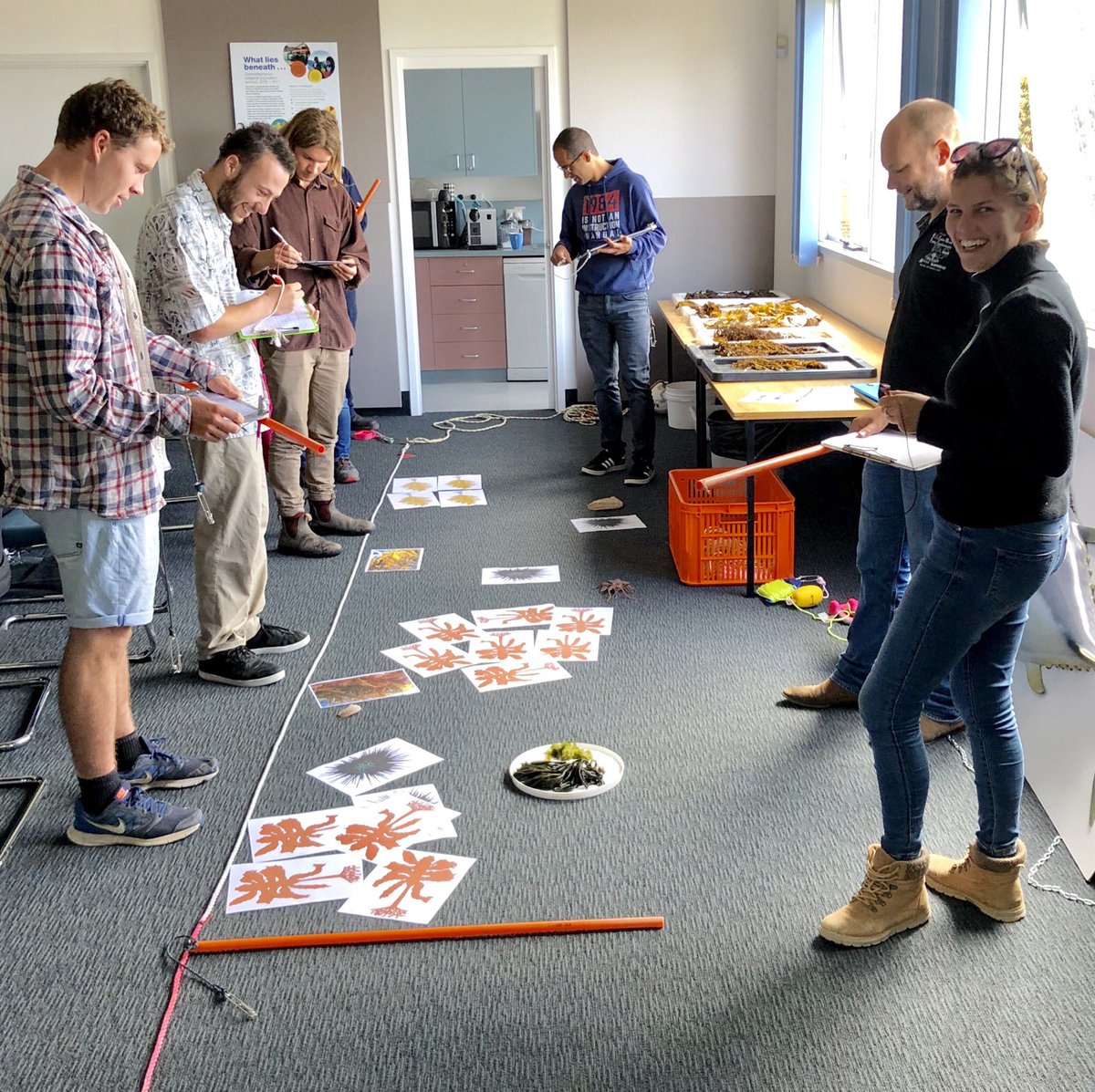 ScottDLing's tweet photo. Urchin Survey Methods 101 - a great day training the next gen for upcoming long-term surveys of sea urchin impacts and control methods for remediating Tasmanian kelp ecosystems #scuba #scidiver #imas_utas #greatsouthernreef #utas #urchin #kelp #rehabilitation #fisheries https://t.co/r7HTtNyO4L