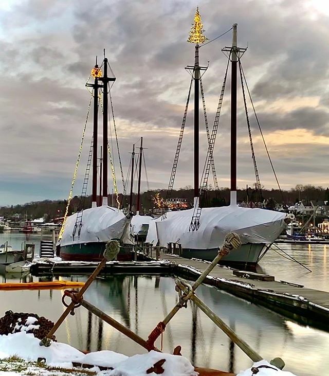 Schooner Lewis R. French Maine Sailing Vacations & Windjammer Cruises