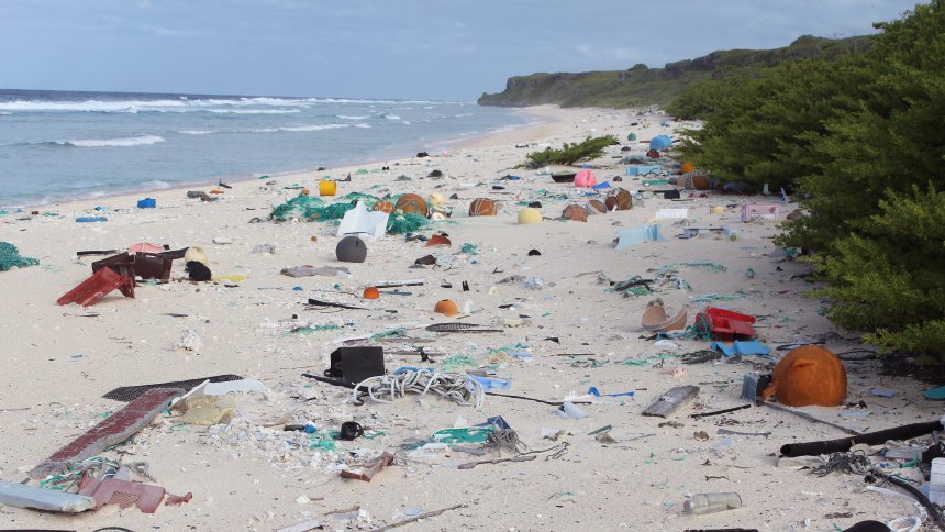 SPIEGEL_Wissen's tweet photo. Abgelegene Südseeinseln: Plastikmüll tötet mehr als eine halbe Million Einsiedlerkrebse https://t.co/opNihy9I4b https://t.co/2JAXsx0ccJ