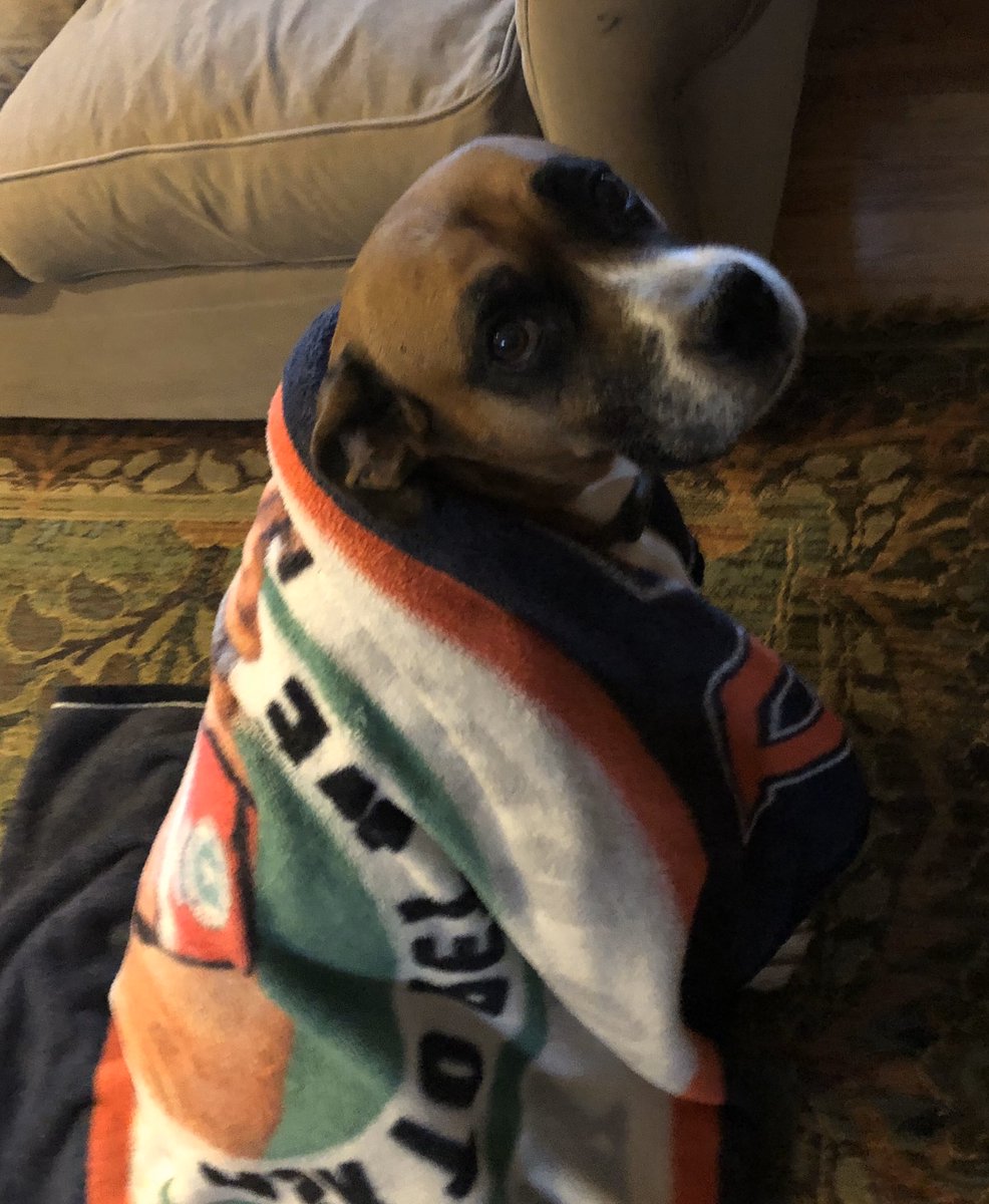 “Buck Gives Back” charity fundraiser. Fridays Dec. 6th &amp; 13th during lunch hours. Buck Blankets-$15 &amp; Buck Buttons - $1.