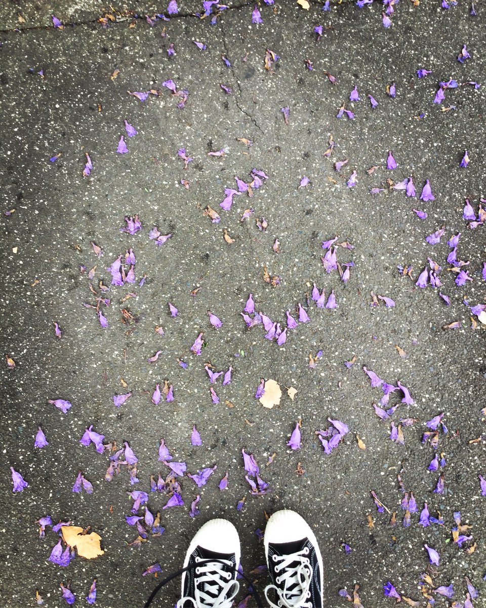 eeyore_1093's tweet photo. Purple
.
#colour #purple #photography #shoes #chrysomusic #music #chryso #underimprovement #leaves #flowers https://t.co/U2ZwaSECBv