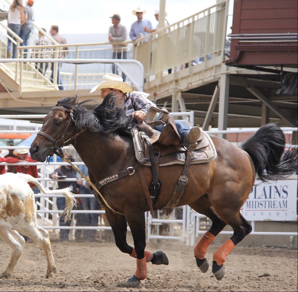 #HoffmansHorse Tyson just backed into the box at the Thomas &amp; Mack with Scott Guenthner and Bridger Chambers (who split 2nd in round 1). #TeamHoffmans <a href="/curtis_cassidy/">curtis cassidy</a> on the hazing side! To see Tyson and all of the Canadians amongst the best in the world is SO exciting! 🇨🇦
#nfr19