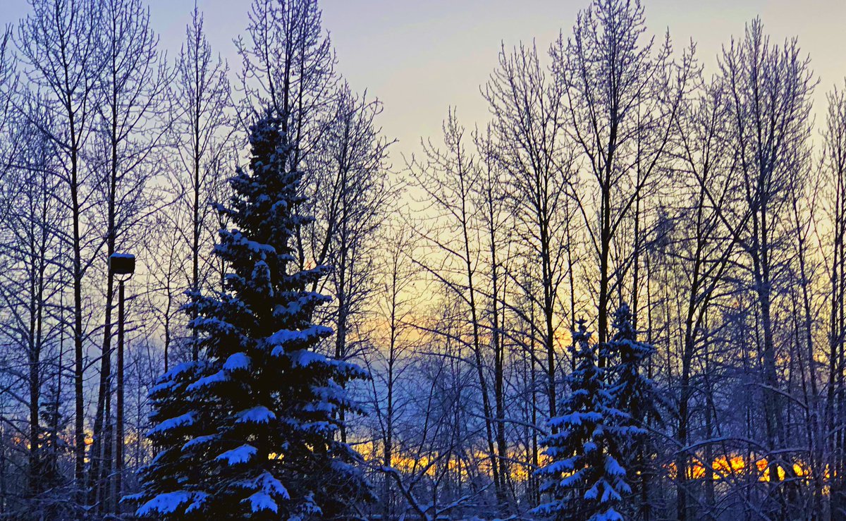 DrP_Principal's tweet image. Another beautiful day in Anchorage! I had an amazing time working with Robyn (@WhaleySchool), Kori (@whaley_ap) and their amazing staff at Whaley School! If you don’t follow these great educators, you really need to...
#maslowbeforebloom
#whateverittakesforkids