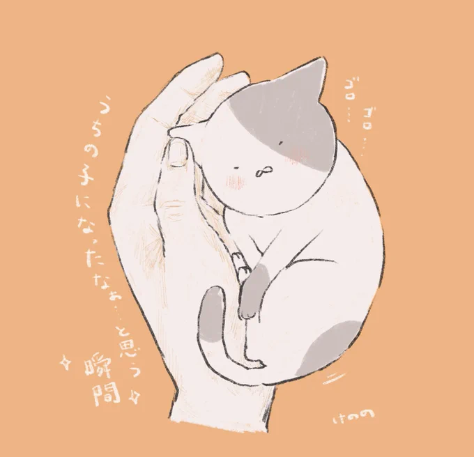 ねこともぐらが好きです心が疲れた時にほっと暖かくなるような絵を届けたいと思っています??#12月になったのでフォロワーさんに自己紹介 