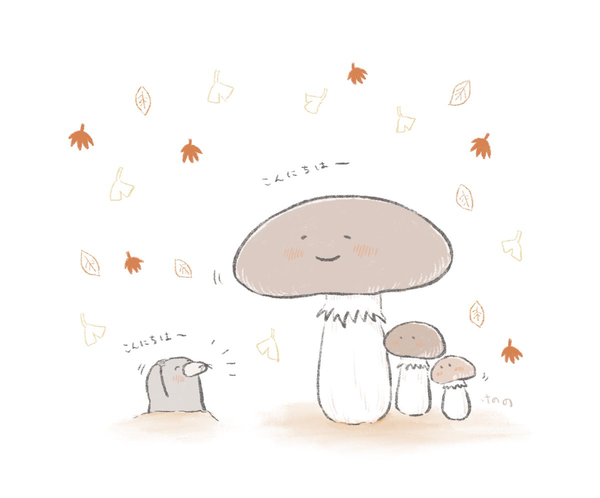 ねこともぐらが好きです☺心が疲れた時にほっと暖かくなるような絵を届けたいと思っています??
#12月になったのでフォロワーさんに自己紹介 