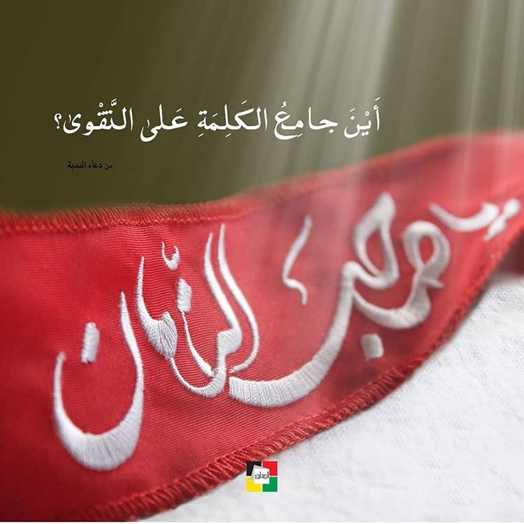 .
#اين_جامع_الكلمة_على_التقوى
#اين_استقرت_بك_النوى؟ 
#ياصاحب_الزمان .