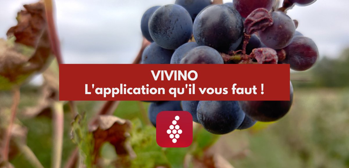 vinetsociete's tweet photo. Avez-vous déjà entendu parler de @vivino ? Cette application de #vin vous permet de scanner l'étiquette d'une bouteille afin d'en obtenir toutes les informations : prix, accords mets-vins, notes de dégustation, etc. via @Vin_survin https://t.co/TwKyd19Vlc https://t.co/d22g0t8ZPf