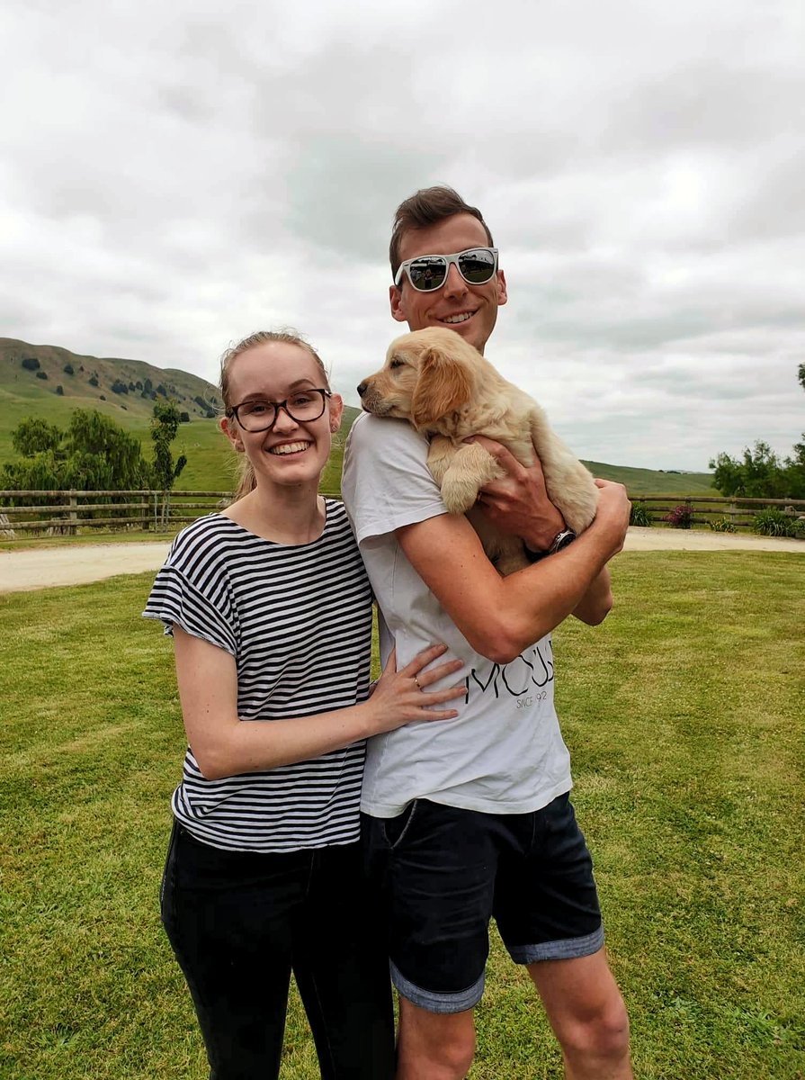 TwoCynics's tweet photo. We got our first Puppy! Welcome to the family Lottie the Golden Retriever ❤️ https://t.co/uSrmxDYDJu