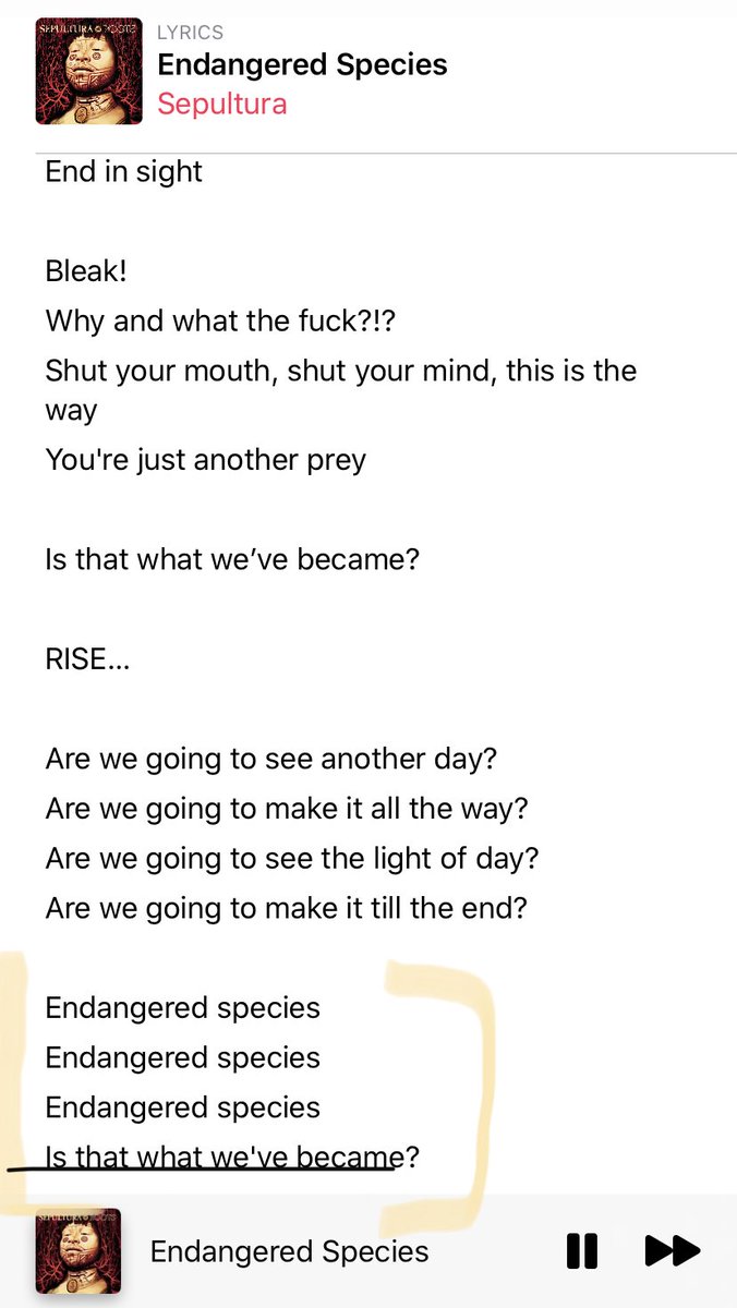 gregorprosen's tweet photo. #endangeredspecies
@sepulturacombr #Sepultura
- listen to the fabolous tribal percussion 🥁b4 end of song! - "endangered species
Is that what we've become!"
#AmazonForrest #ClimateChangeIsReal
#myYouth❤️Album https://t.co/BQGTvhXu7P