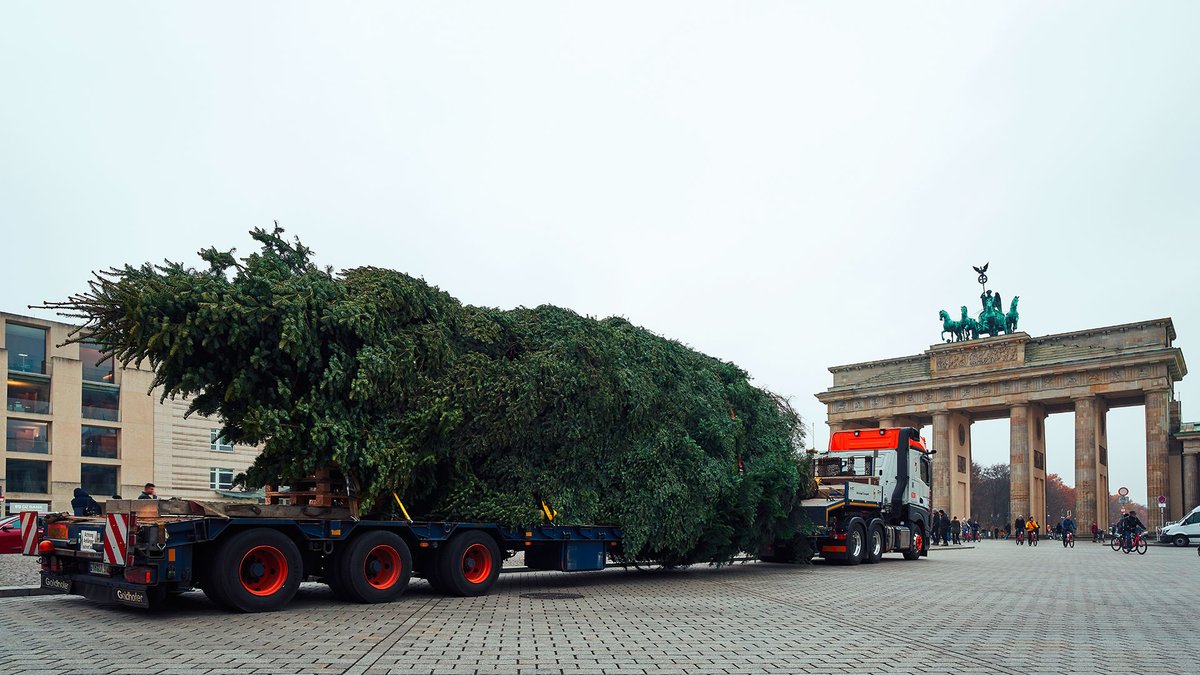 WeAreBPW's tweet photo. Zu #Nikolaus ein #BigPicture vom #BrandenburgerTor 🤶🎅🎄 Unser Kunde #UniversalTransport hat den passenden #Weihnachtsbaum (17,50m, 4,5t, Fichte) geliefert - und dabei auf einen @GoldhoferTT Tieflader mit #BPW #Achsen gesetzt. 💪🚛 https://t.co/SluExavvnt #motionist https://t.co/HWwyflJ1ae