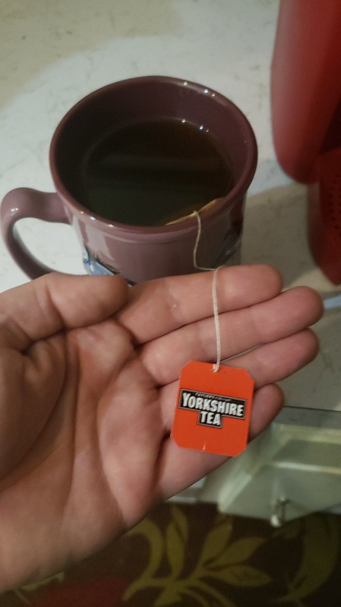 beaverdono's tweet photo. @TheSpiffingBrit After binge watching your videos I felt like this was the proper way to end the night.. https://t.co/zlKArSraop