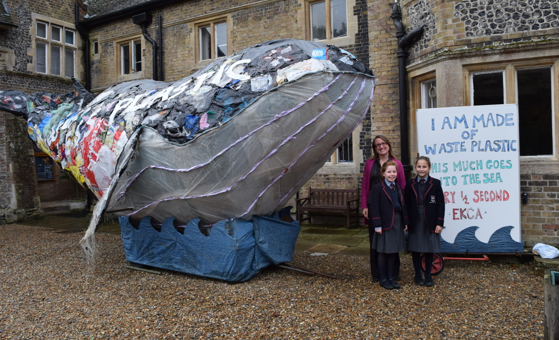 sascampaigns's tweet image. Woah! 🐋💙This life-sized baby blue whale model was made from plastic pollution by @NorthbournePark School, highlighting the threat posed to oceans. #TheCreature

Students made the model while working towards becoming an approved #PlasticFreeSchools. #PowerToThePupils 🤙