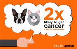 Smokefree_Notts's tweet photo. https://t.co/yIJPXzHyAP