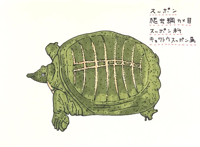 スッポンのtwitterイラスト検索結果 古い順 スッポンのtwitterイラスト検索結果 古い順