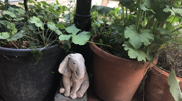 IPFOfficial's tweet image. Islington Pensioners Forum e-news December 2019 - mailchi.mp/89a178ac865c/i…