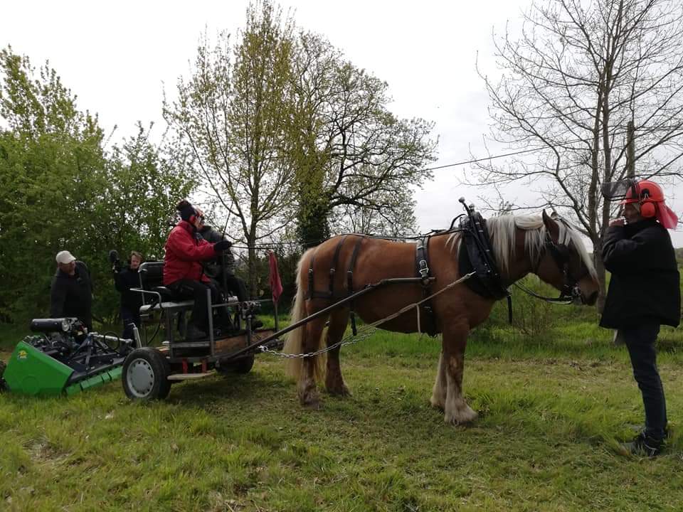 lefaireacheval's tweet photo. Hier et aujourd'hui : suite et fin de l'entretien pour cette saison du parc de la maison de la Côme pour Ecocert (32600).
Fauche tardive décidée en lien avec un naturaliste afin de réserver au mieux faune et flore...
Bravo à nos équipes et merci à Ecocert pour votre confiance ! https://t.co/3b2ajFfDVg