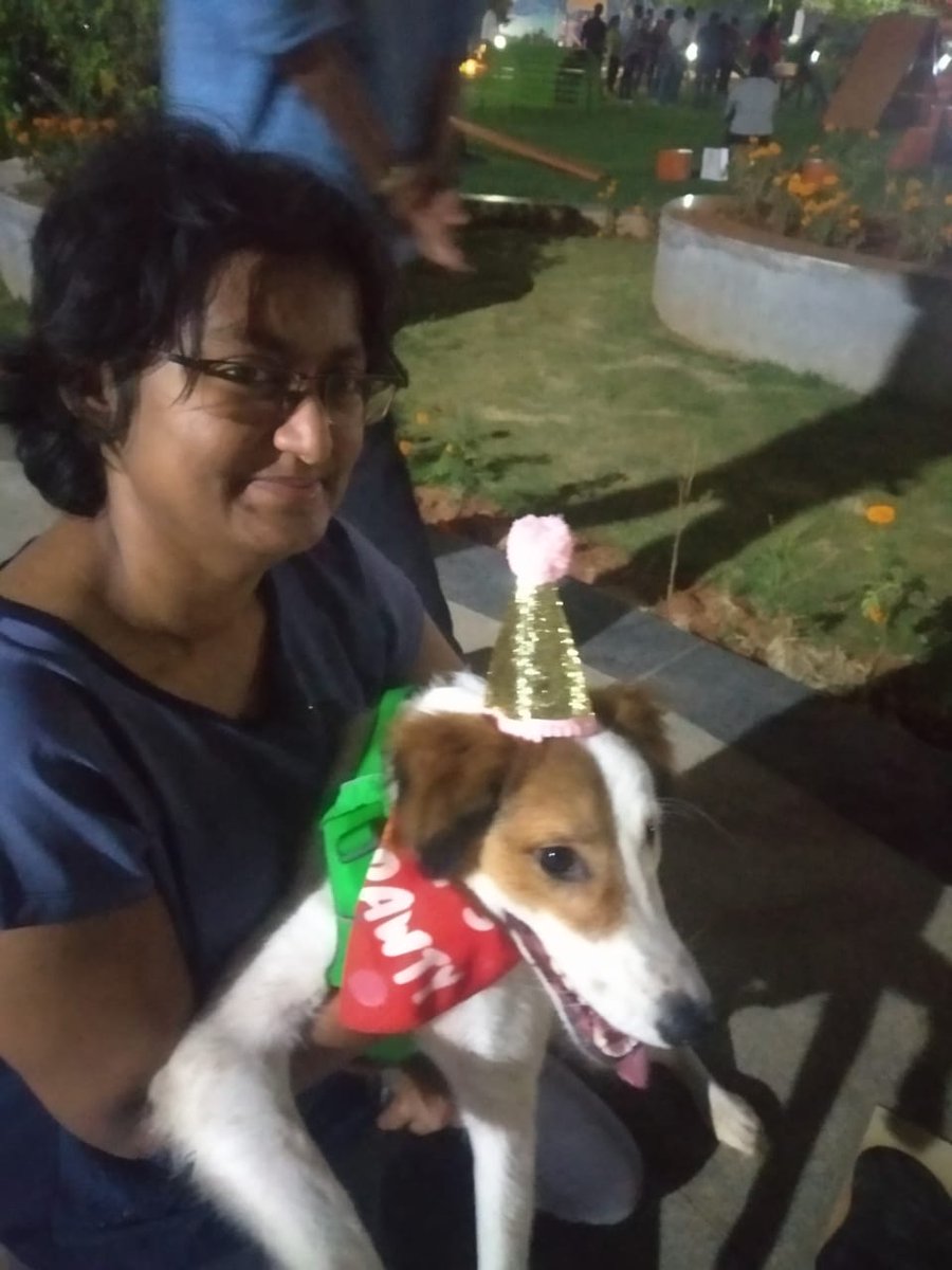 Dogparkhyd1's tweet photo. Happy bday Millie 
Have a fantastic year ahead 
#petlove #HappyBirthday https://t.co/pUtsua7Juc