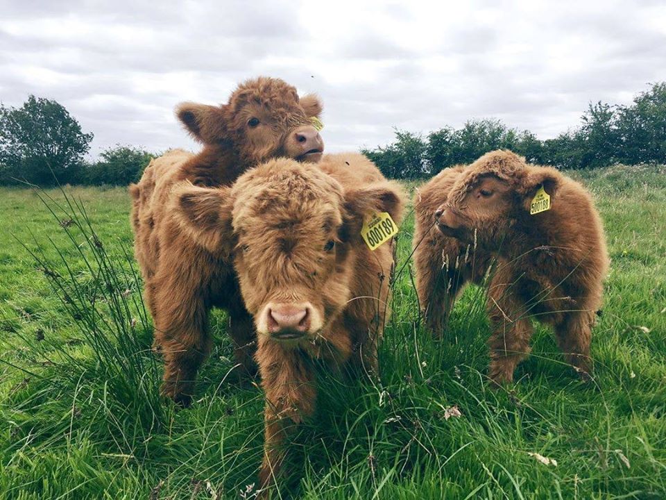 Stuck for a Secret Santa gift? 😍

📸 Izzi Rainey