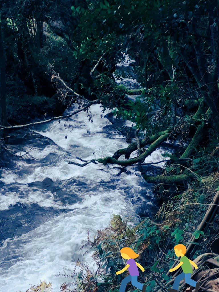 #BuenosDiasATodos #GoodMorningWorld 
Vamos de #senderismo 🏃🌞💯‼️ Arbo y sus senderos es el lugar ideal !!!
We go #hiking. #Arbo is the ideal #place to #walk
#FelizPuente 
#WalkAway 🌻🍁🍂🌄🥀
#otoño
#autumn2019