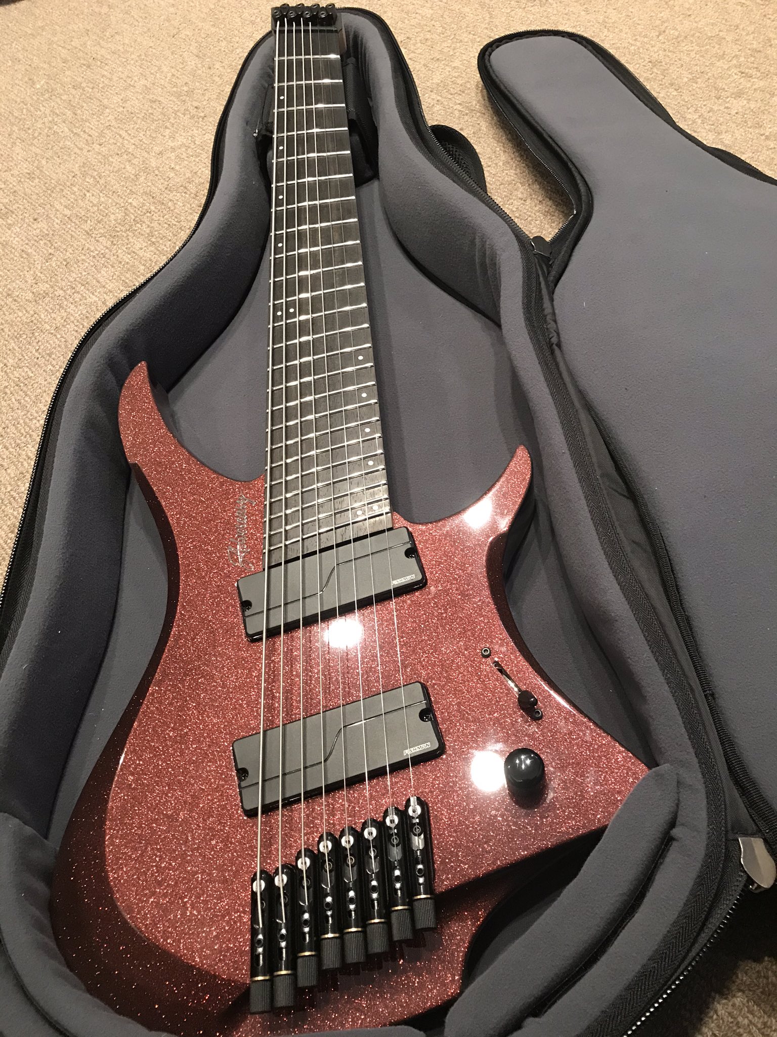 Adversary guitars keto8 （Adversary Keto 8 String Multiscale