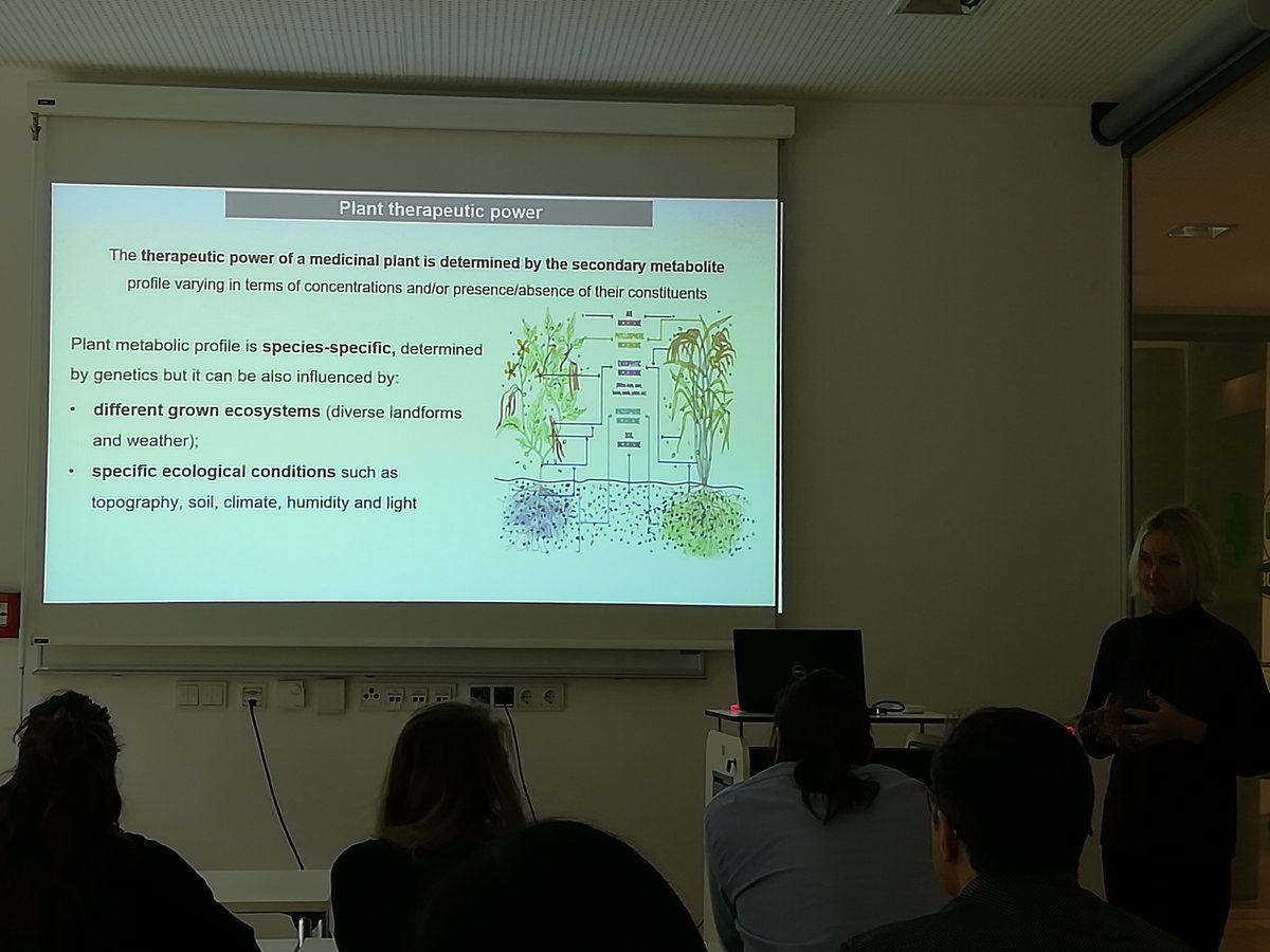 micrometabolite's tweet photo. Valentina Maggini from the University of Florence is giving us a talk on The therapeutic challenge of medicinal plant-associated microbiota. #phytotherapy #echinacea #micrometabolite #naturalproducts #secondarymetabolites https://t.co/rTCsyy4HaO