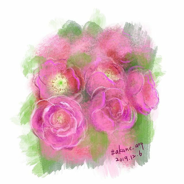 Akane Art Rose Angela アンジェラ バラ つるバラ Vinerose 花 Flower Akane Art イラスト Illustration 1916 Drawing Art Painting Procreate 一日一絵 Onesktchaday Onedrawingaday 365drawings T Co Po3a4tpg4l