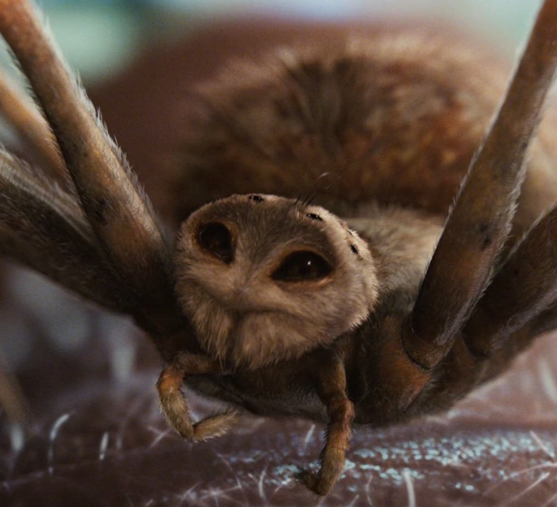 Charlotte's Web (2006)
