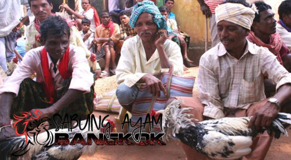SabungB's tweet photo. Sabung Ayam di Negara India Dan Provinsi Sekitarnya https://t.co/pQc4znMXLD https://t.co/rHruc8XjkY