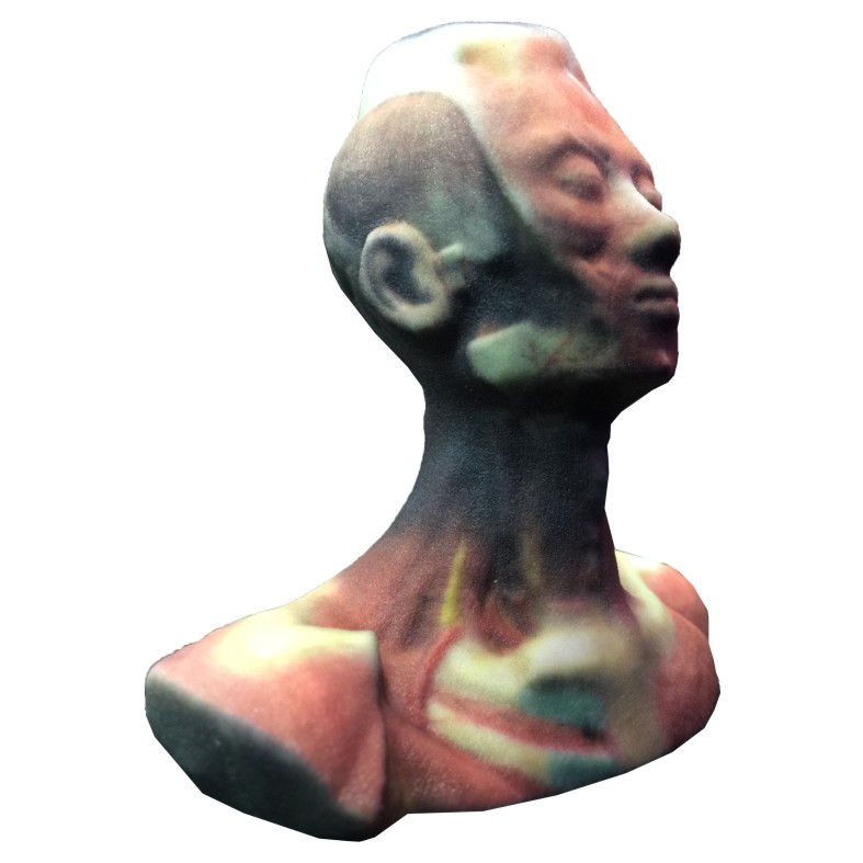 cometrue3d's tweet photo. CometrueⓇ 3D Printer can be applied in Bio-Medical and HealthCare.

ComeTrue® turns files of 3D objects seen from the screen into a reality.

🔍Get more Information: https://t.co/dYQIV99TkR https://t.co/GcKJxsa9x9