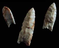 HistoryTO3's tweet photo. Paleoindian spear points, Fulton County, Illinois – #HistoryTO #TorontoHistory #PalaeoIndians #ClovisPeople #HumberRiver #ArcheologyTO 
https://t.co/SqHb3PYQit https://t.co/dbw2PuzEpN