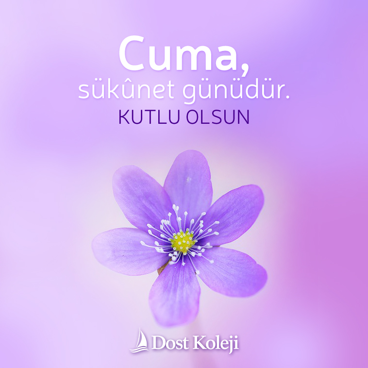 DostKoleji's tweet photo. #hayirlicumalar https://t.co/M3YV1ULbCL