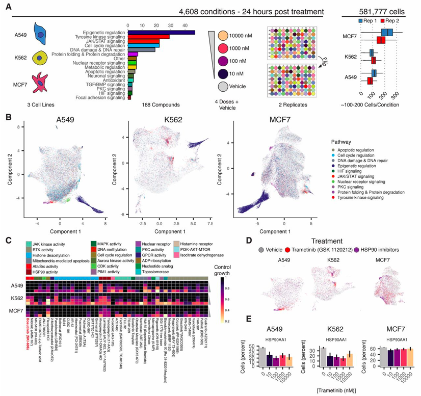 katyac_h2o's tweet photo. @SRsrivatsan just published his first Ph.D. paper  (https://t.co/gIYj4yRzKy), a culmination of endless perseverance, incredible mentorship, and collaborative teamwork-congrats all! 

My Haiku summary of #sciPlex:

One experiment 
Many single cells profiled
Future of drug screens https://t.co/zO7mrmrYSB