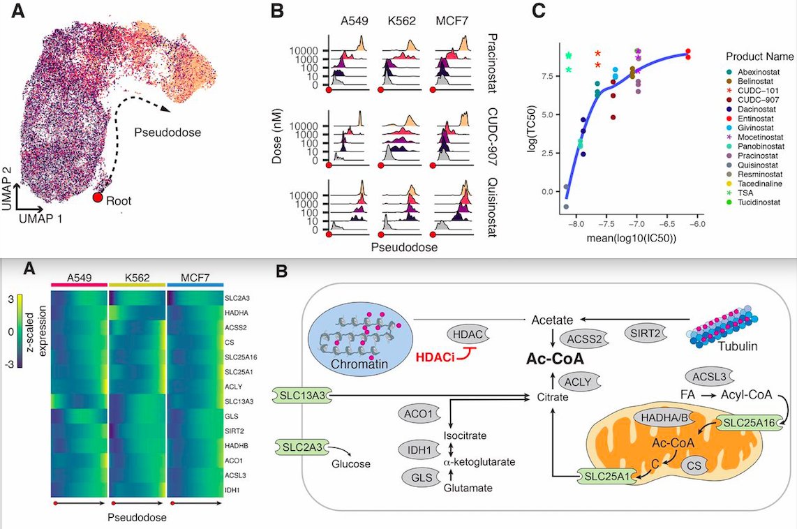 <a href="/SRsrivatsan/">Sanjay Srivatsan</a> just published his first Ph.D. paper  (science.sciencemag.org/content/early/…), a culmination of endless perseverance, incredible mentorship, and collaborative teamwork-congrats all! 

My Haiku summary of #sciPlex:

One experiment 
Many single cells profiled
Future of drug screens