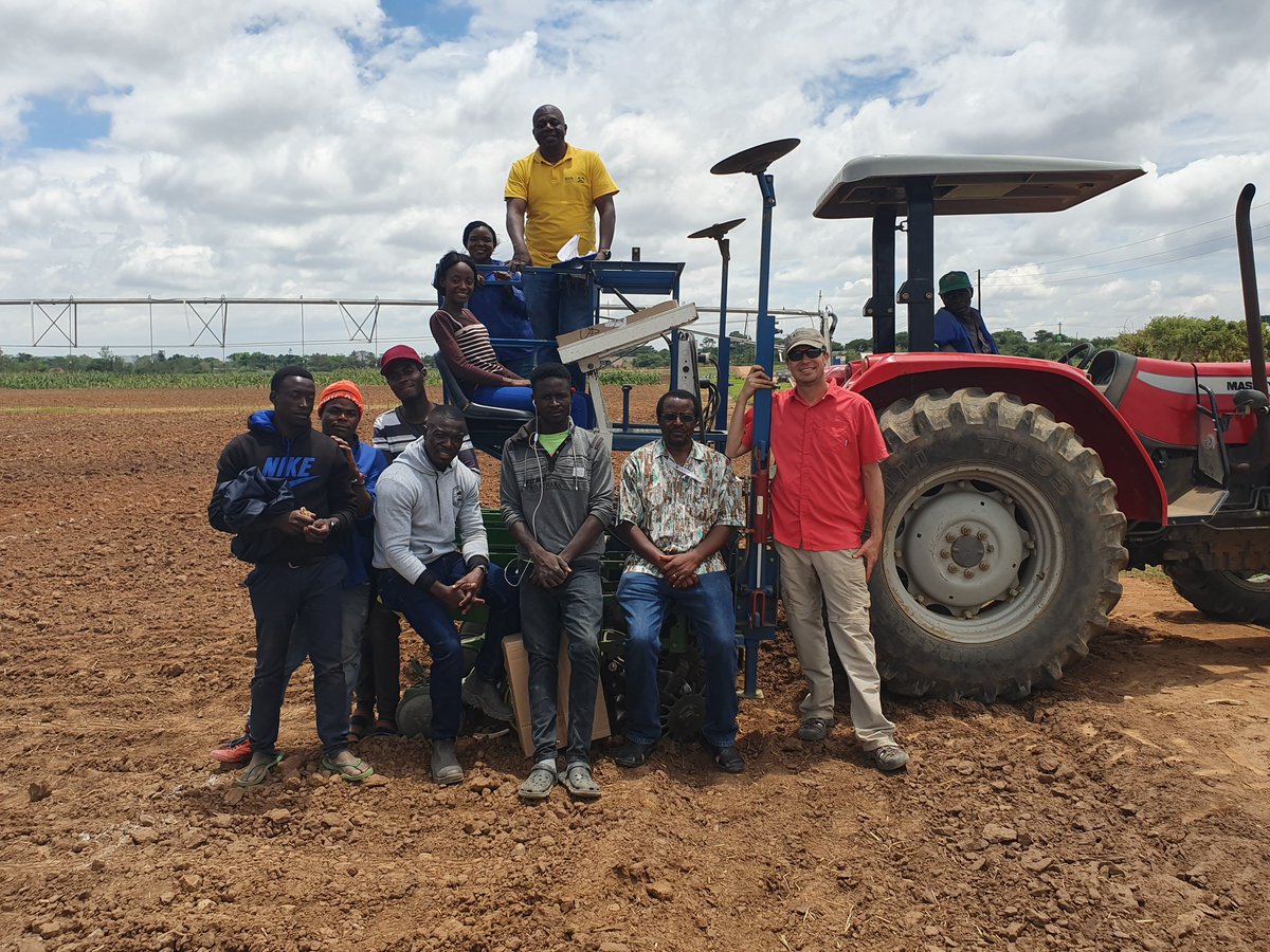 Technicians planting soybean breeding trials at IITA-Zambia <a href="/IITA_CGIAR/">IITA</a>