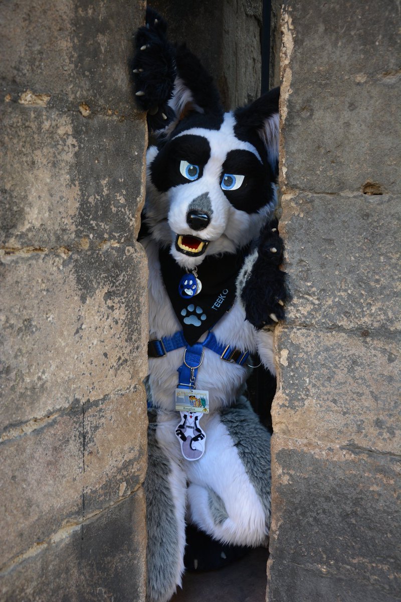 Rougfox (@rougfox) on Twitter photo Hey you! Would you please let me out to give you a hug? Happy #fursuitfriday everyone!
Pic taken by <a href="/jashiswiss/">jashi @ jashiswiss. bsky. social</a> at the #suitwalk in #Esslingen in 2018 Hey you! Would you please let me out to give you a hug? Happy #fursuitfriday everyone!
Pic taken by <a href="/jashiswiss/">jashi @ jashiswiss. bsky. social</a> at the #suitwalk in #Esslingen in 2018