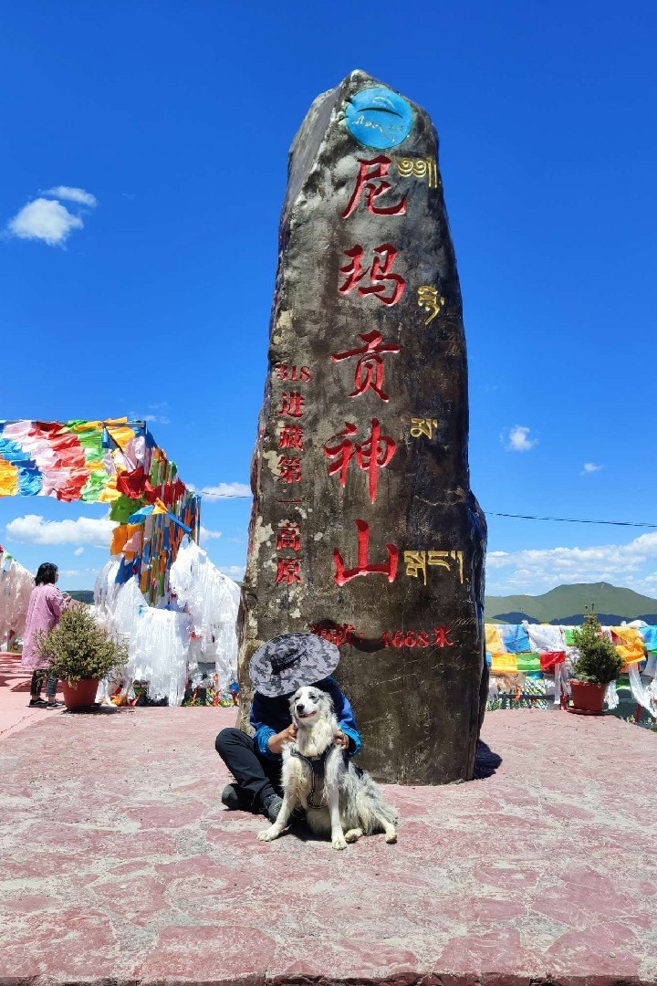 TibetNews11's tweet image. #Escursionista cammina dal #Sichuan al #Tibet con #cane da compagnia