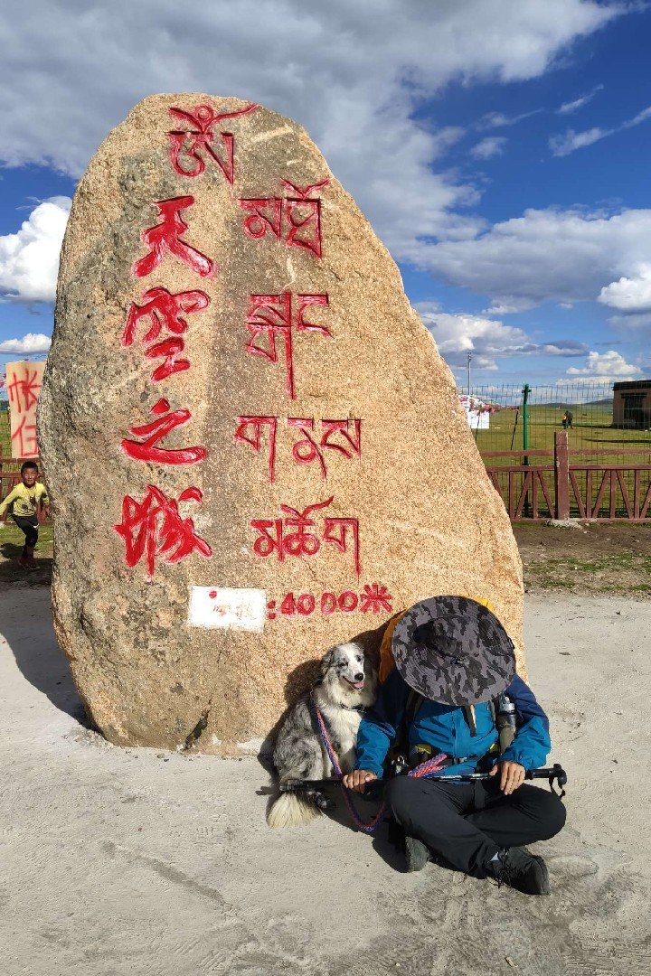 TibetNews11's tweet image. #Escursionista cammina dal #Sichuan al #Tibet con #cane da compagnia