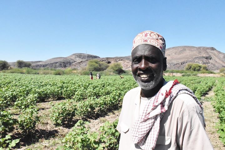 Meet Mohadin, an Eritrean refugee who grows cotton together with Hailo from the host community in Afar.

They are part of a Sharecropping Project initiated by Evangelical Church of Mekane Yesus (EECMY) under the umbrella consortium of RDPP EU funded projects coordinated by DCA.