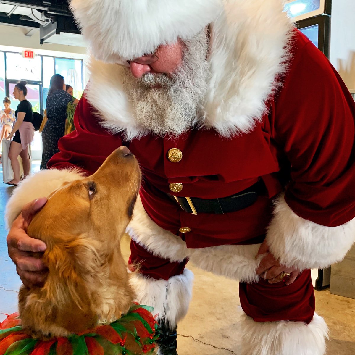 thealoha360's tweet photo. Wondering how to celebrate Christmas on Maui this year? We’ve got a few ideas for you on the podcast this week!🎄🎁🌺🌴 https://t.co/AT72v7fY8L https://t.co/yVdev3Hq2x