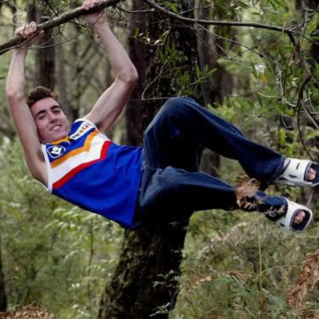 Carlton FC tweet media