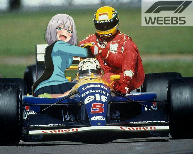 If Maple races in Formula 1  9GAG