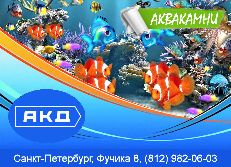 cmsnetru's tweet photo. аквариумные камни. Они отлично дополняют интерьер, а за счёт своей необычной формы делают дизайн уникальным
Выгодные цены. Быстрая доставка.
Санкт-Петербург, Фучика 8, Тел.: (812) 982-06-03
Работаем 7 дней в неделю!
#камни
https://t.co/ySYfn1gQ6Q https://t.co/IVEaZ7IHH3