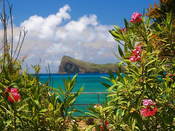 MauritiusGuide's tweet photo. Friday in Mauritius be like 😍😍😍

#FridayVibes #FridayThoughts #FridayFeeling 
#holiday #travel #beach #sea #Decemberwish https://t.co/Kfeat2Ttps