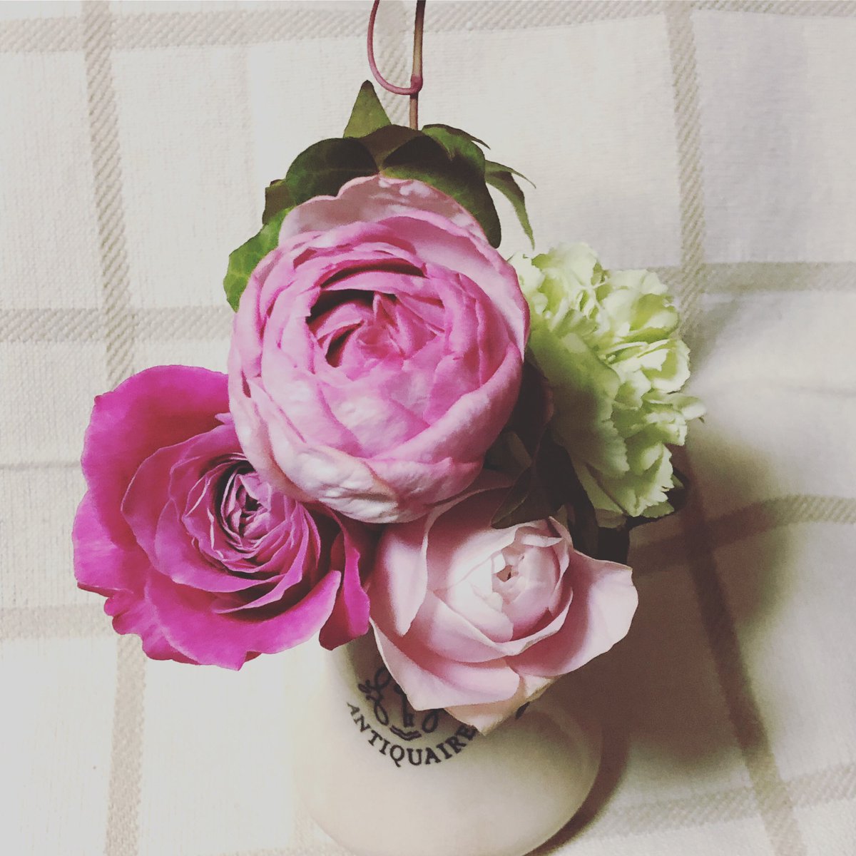 ピンクイブピアッチェ