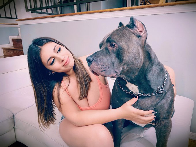I&rsquo;m your new owner now 😙 #helovesme #pitbullmoms https://t.co/9n5Ei74vJL<a href="/tag/helovesme"class="tags">#helovesme</a><a href="/tag/pitbullmoms"class="tags">#pitbullmoms</a>
