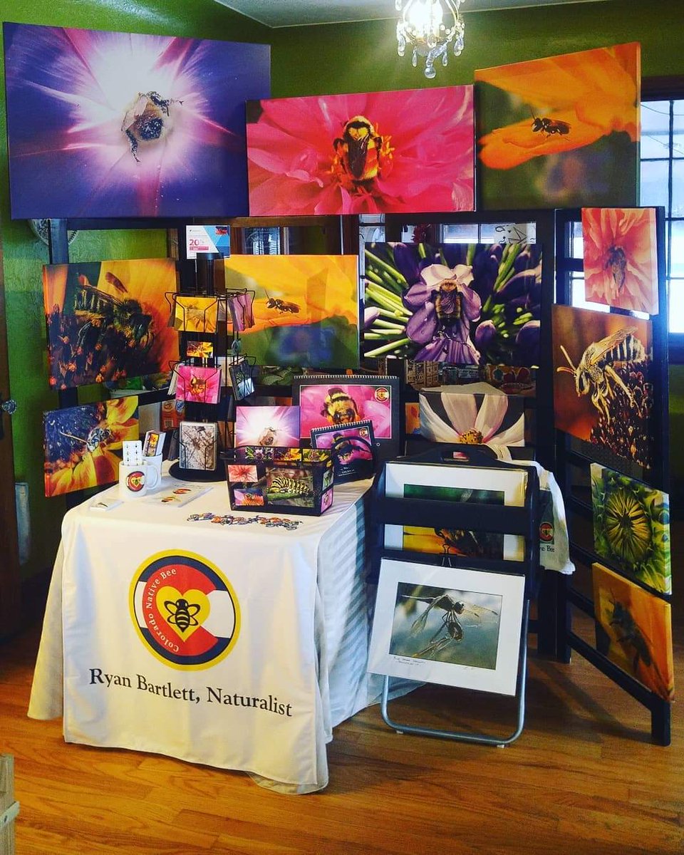Pre-Show setup. Promoting #bees through photography! Come visit at #ArtInTheHighlands Saturday and Sunday Dec 7 - 8. 
2475 W. 26th Ave. Denver CO. 80211

#NativeBees #Conservation #ColoradoNativeBee